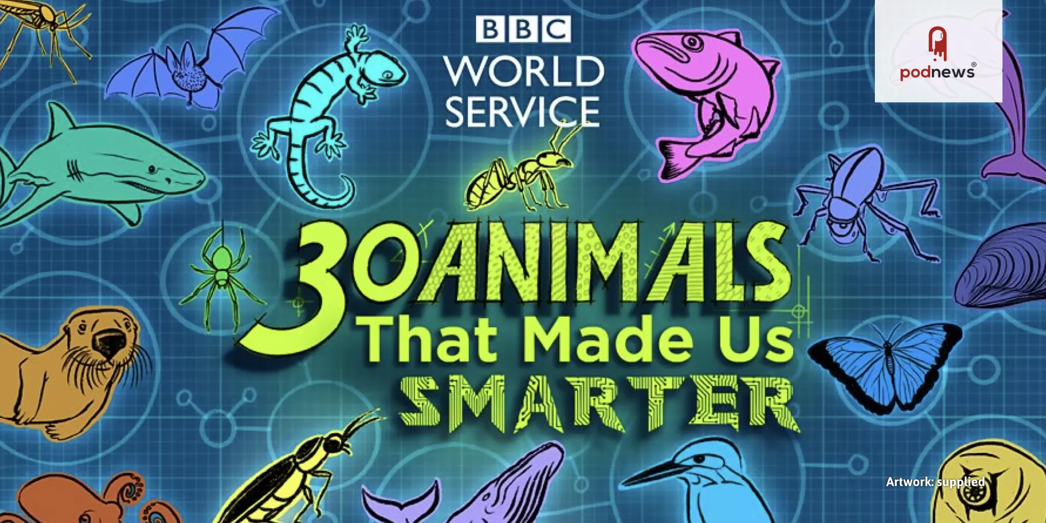BBC World Service launches new podcast about animals and innovation