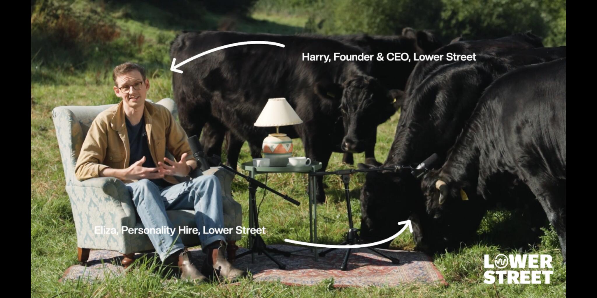 Lower Street Helps Brands Milk YouTube for Reach and Results