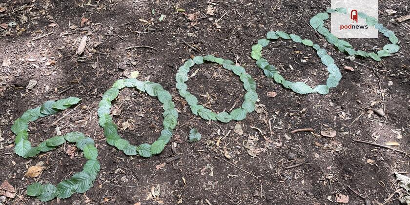 Leaves spelling out the number 50,000