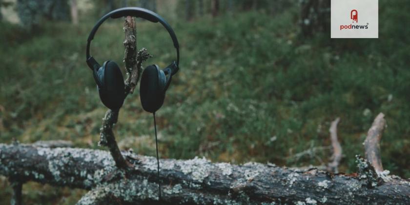 Headphones in a forest