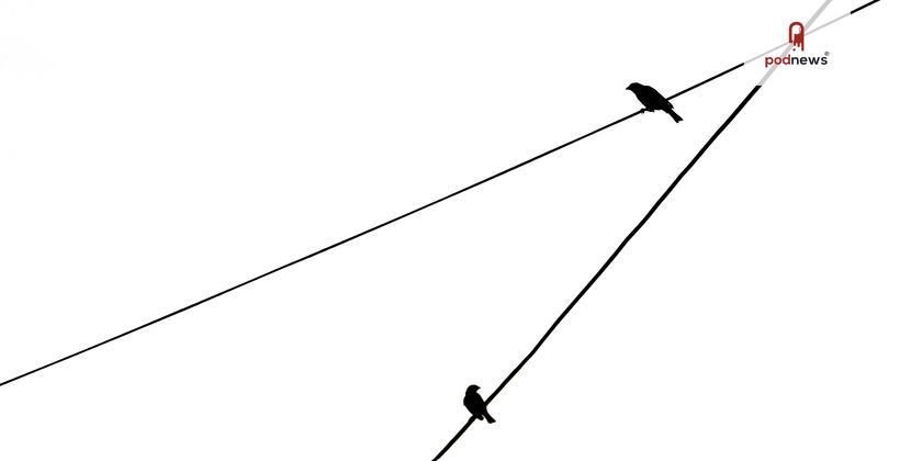 Birds sitting on a power line