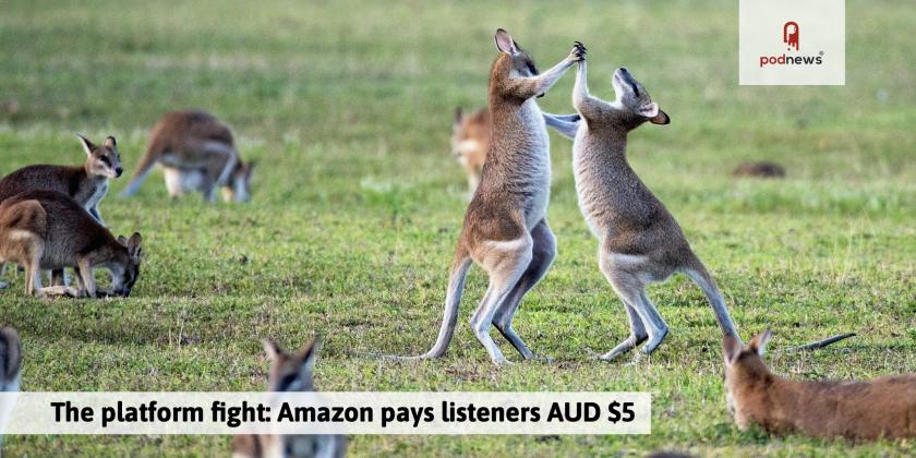 Kangaroos - well, wallabies - fighting each other