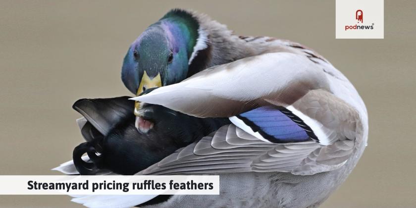 A suitably ruffled-looking StreamYard duck