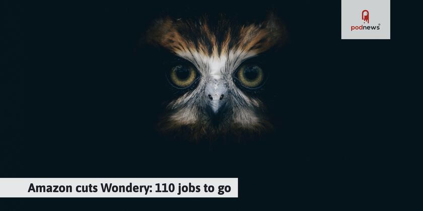 An owl in the dark