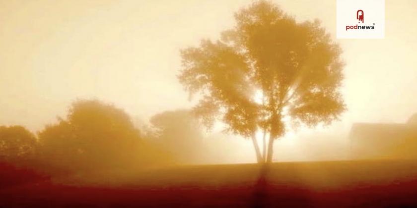 A tree in fog