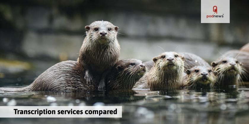 An otter, because there's a transcription service called Otter, and it's hard to get pictures of transcription services. Taken at Ree Safari Park in Ebeltoft, Denmark.