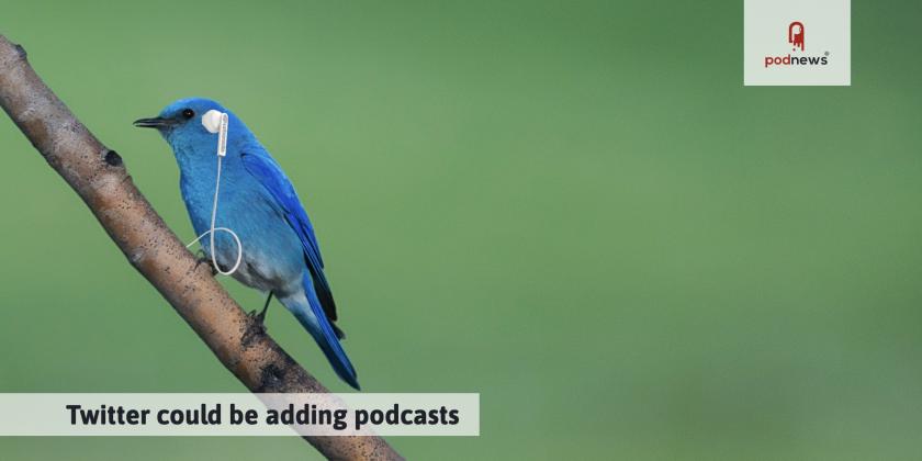 A blue bird with headphones excellently Photoshopped on