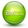 BM Project Solutions