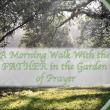 Walking with God - Prayer