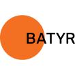Batyr Foundation 