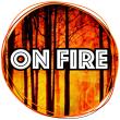 OnFire-Waldbrände