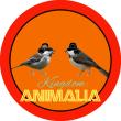 Kingdom Animalia Podcasts