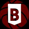 Bleav Basketball