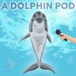 A Dolphin Pod