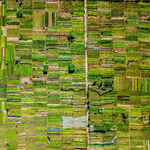 Cultivated Audio