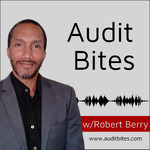 Audit Bites