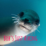 Bob's Just Asking