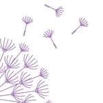 Balm To The Soul - Energy Healing to soothe mind, body and soul