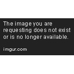 Duncan Duo Tampa Real Estate Video Blog