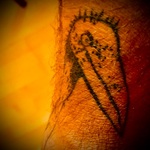 Vogel der Woche - bird of the week