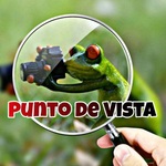 Punto de Vista
