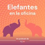 Elefantes en la oficina