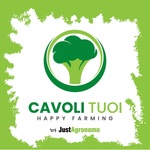 Cavoli Tuoi