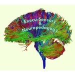 Execu-Sensory & Neuropedagogy Educational Consulting Services » Podcasts