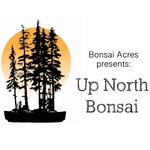 Up North Bonsai