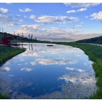 Dr. David Levy - God's Wisdom Freshly Revealed