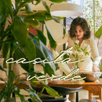 casita verde