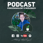 POROZMAWIAJMY O ROŚLINACH