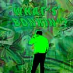 What's Bonkin'?