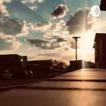 Anything Life by Mordecai