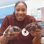 Hidden in plain sight