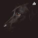 とあるソフトウェアエンジニアのラジオ