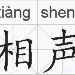 Pikachu's crosstalk collection