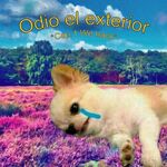 Odio el exterior
