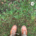 Coming and Going: a daily story