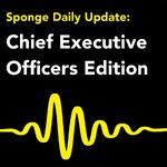 Chief Executive Officer