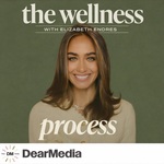 The Wellness Process