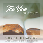 The Vine Bible Study