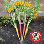 Waiheke, Can You Dig It?!