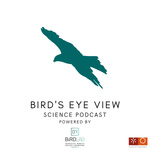 Bird's Eye View - Science Podcast