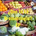 ¿Que Es La Bromatología? EP