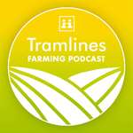 Tramlines