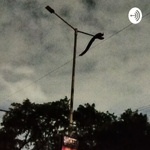 Highway Lover Peacock