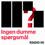 Ingen dumme spørgsmål