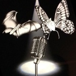SchmaflCast - Schmettermaus und Flederling