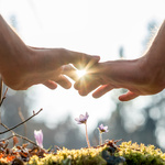 Consciously Connected